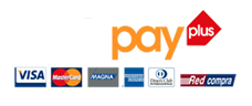 Logo webpay plus